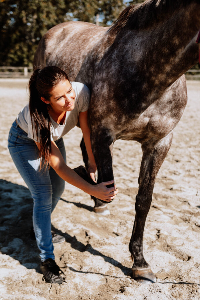 Ostéopathie équine